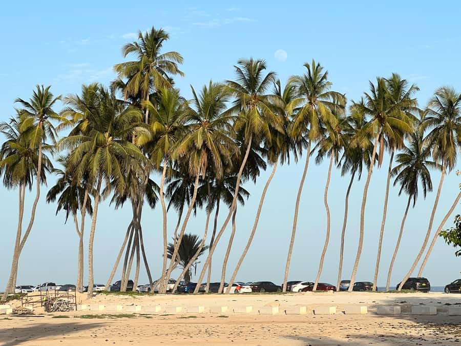 Historical Salalah City Tour with Culture, Food & Shopping - Sultan Qaboos Mosque: a respectful first stop