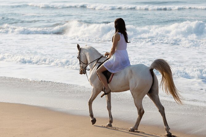 Horse riding by the beach Salalah - Why Salalah’s beach is the main attraction