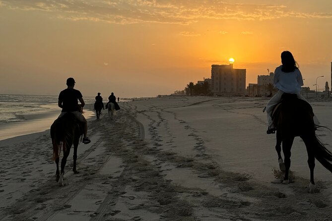 Horse riding by the beach Salalah - The stable visit and getting comfortable in the saddle