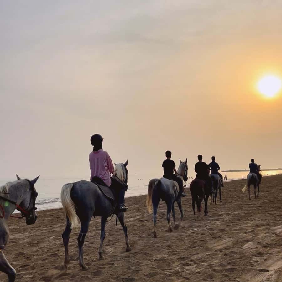 Horse riding in muscat beach - Key points before you book
