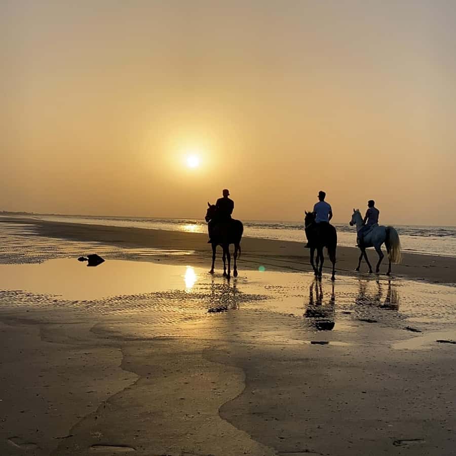 Horse riding in muscat beach - A beach ride close to central Muscat