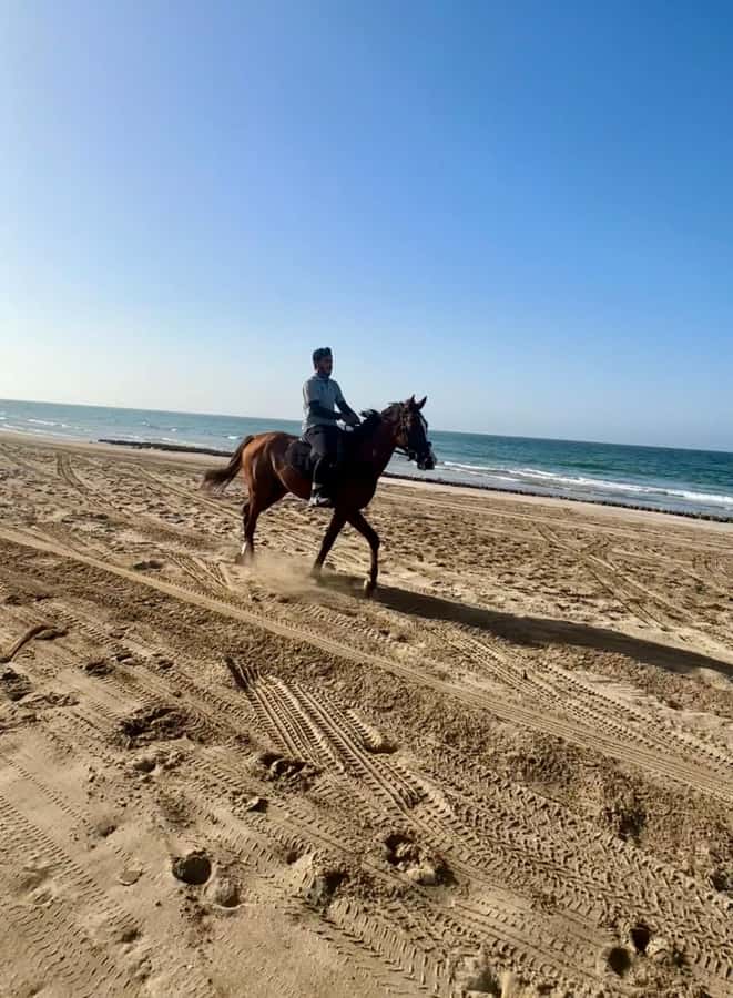Horse riding in muscat beach - Is this Muscat beach ride worth booking?