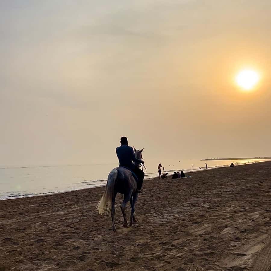 Horse riding in muscat beach - FAQ