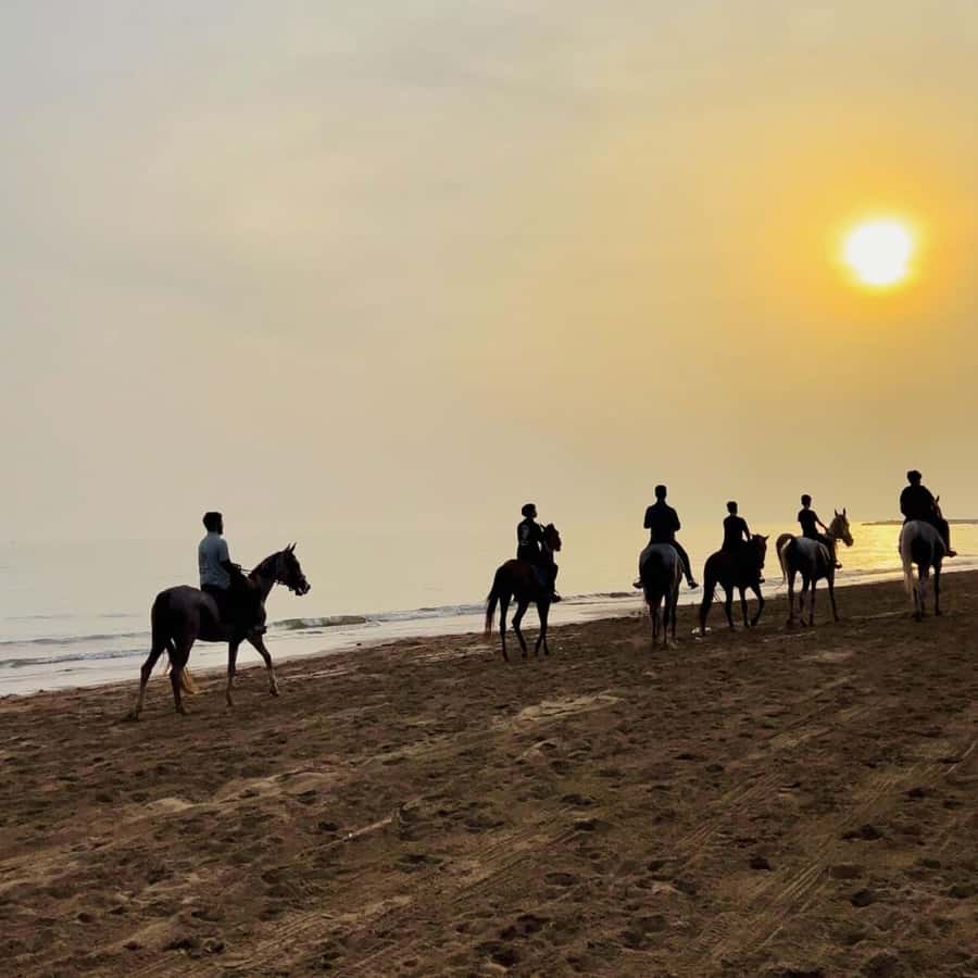 Horse riding in muscat beach - What the one-hour ride is really like