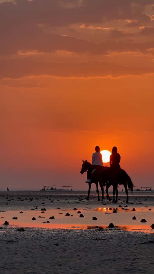 Horse Riding Muscat | Beach Horse Riding - Key points at a glance