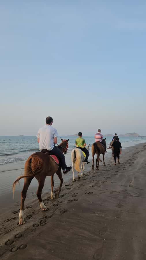 Horse Riding Muscat | Beach Horse Riding - Reaching Al Sawadi Beach from Muscat