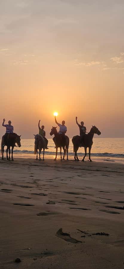 Horse Riding Muscat | Beach Horse Riding - One hour beside the Gulf of Oman