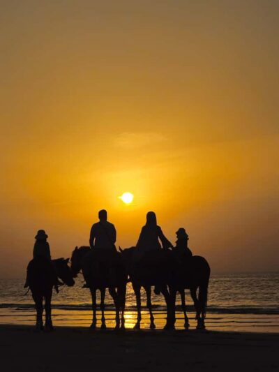 Horse Riding Muscat | Beach Horse Riding