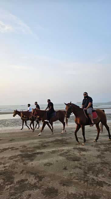 Horse Riding Muscat | Beach Horse Riding - Why the guides make a difference