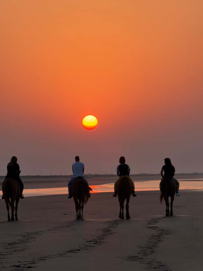 Horse Riding Muscat | Beach Horse Riding - Photographs, videos, and the sunset question