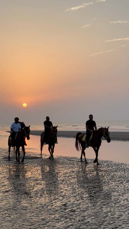 Horse Riding Muscat | Beach Horse Riding - Who should book this beach ride?