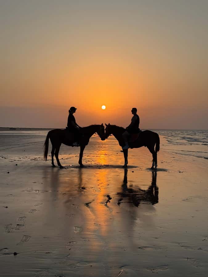 Horse Riding Muscat | Beach Horse Riding - A practical plan for the day