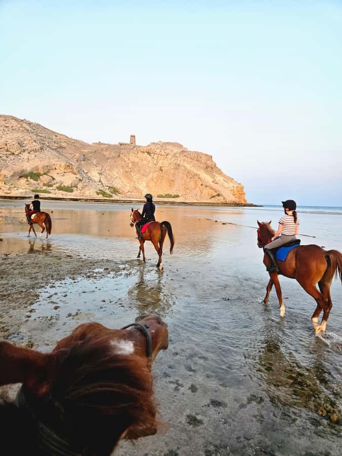 Horse Riding Oman - 2 hour ride - A relaxed walk for beginners