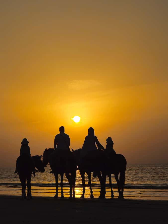 Horse Riding Oman - 2 hour ride - The horses, beach route, and photo opportunities