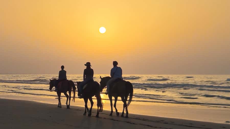 Horse Riding Oman - 2 hour ride - How the $140 price compares with the experience