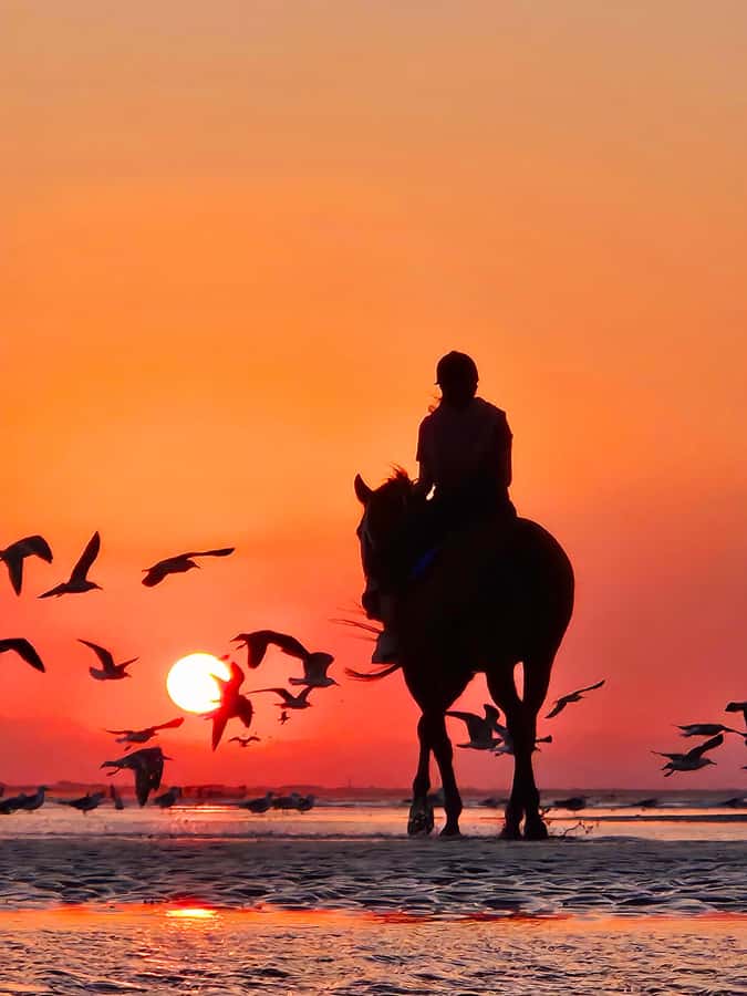 Horse Riding Oman - 2 hour ride - Practical preparation for the two hours