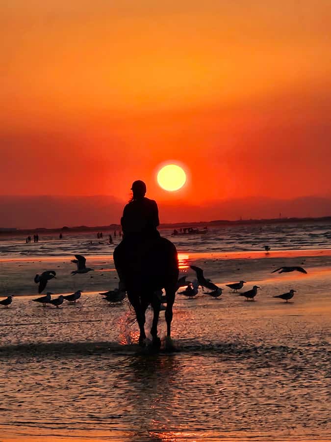Horse Riding Oman - 2 hour ride - Starting with safety, helmets, and horse handling
