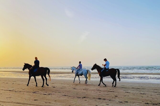 Horse Riding on the beach - Key points to know before booking