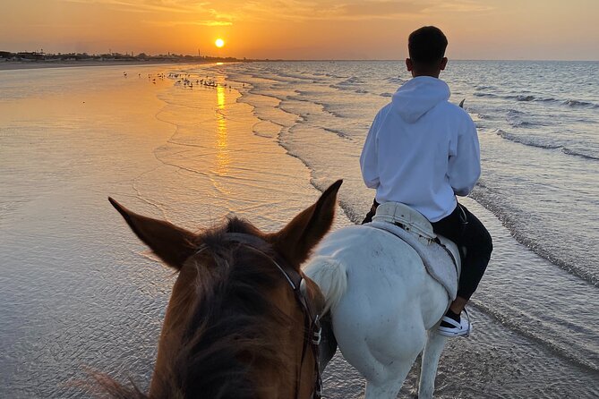 Horse Riding on the beach - Is $72 good value for one hour?