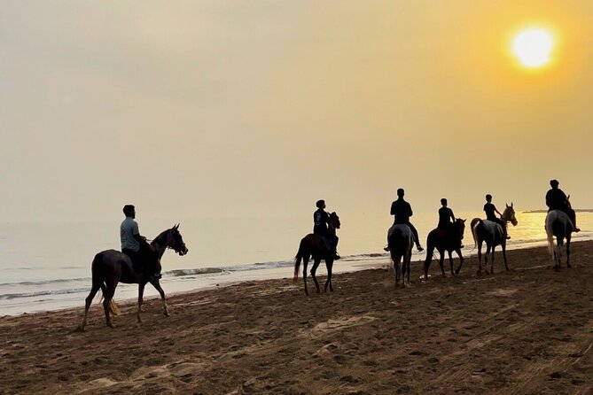 Horse Riding on the beach - Who should book this ride?