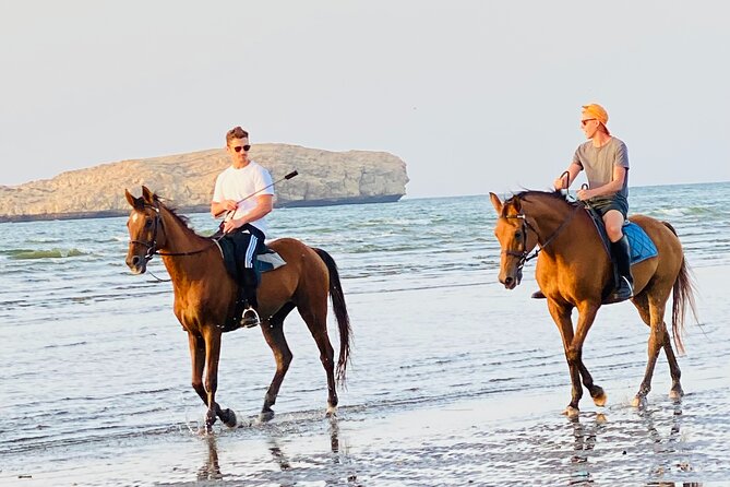 Horse Riding on the beach - What the one-hour ride is likely to feel like