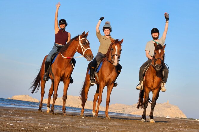 Horseback Riding Muscat Beach - Key points before you book