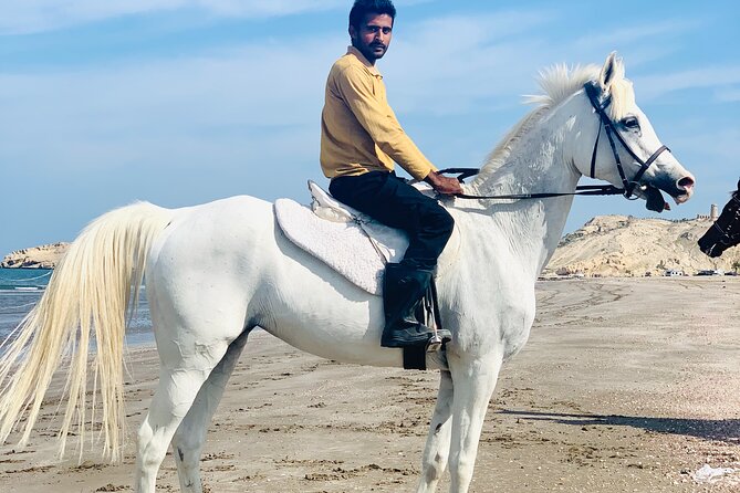 Horseback Riding Muscat Beach - Arriving at Equestrian Suwadi Al Sawadi