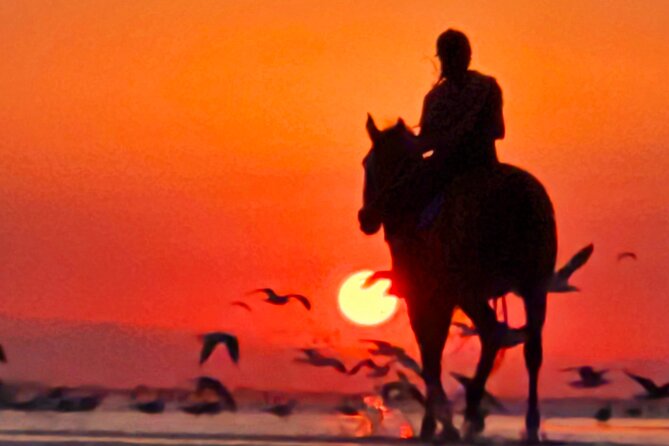 Horseback Riding Muscat Beach - Sunrise, sunset, and the best light