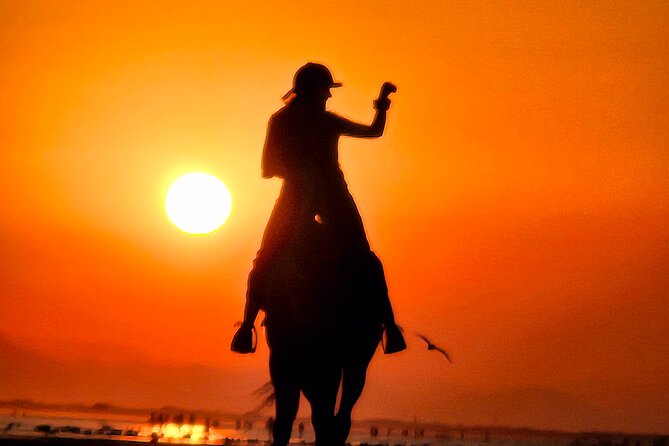 Horseback Riding Muscat Beach - Photos and videos without stopping the ride