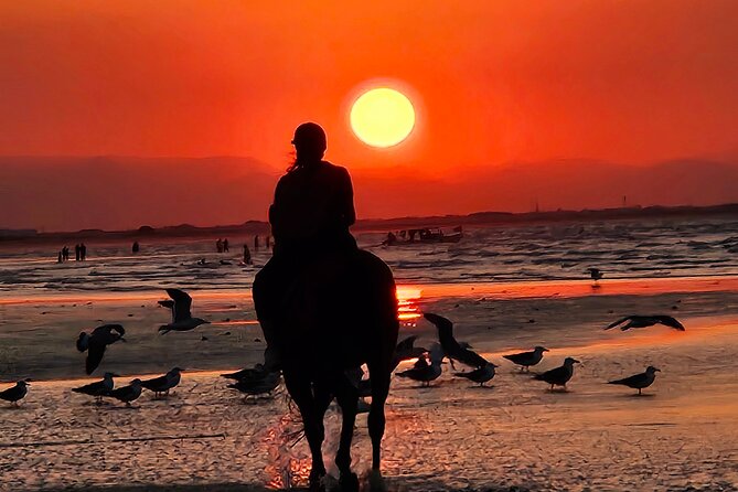Horseback Riding Muscat Beach - Is $76.66 a fair price?