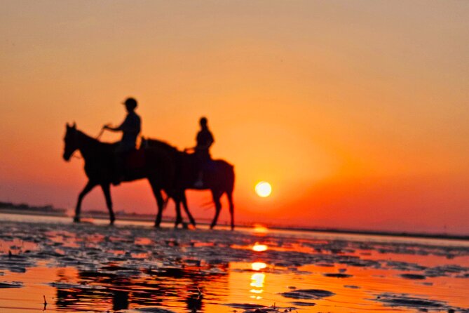 Horseback Riding Muscat Beach - Families, couples, and first-time riders