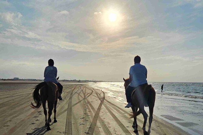 Horseback Riding Muscat Beach - One hour beside the sea