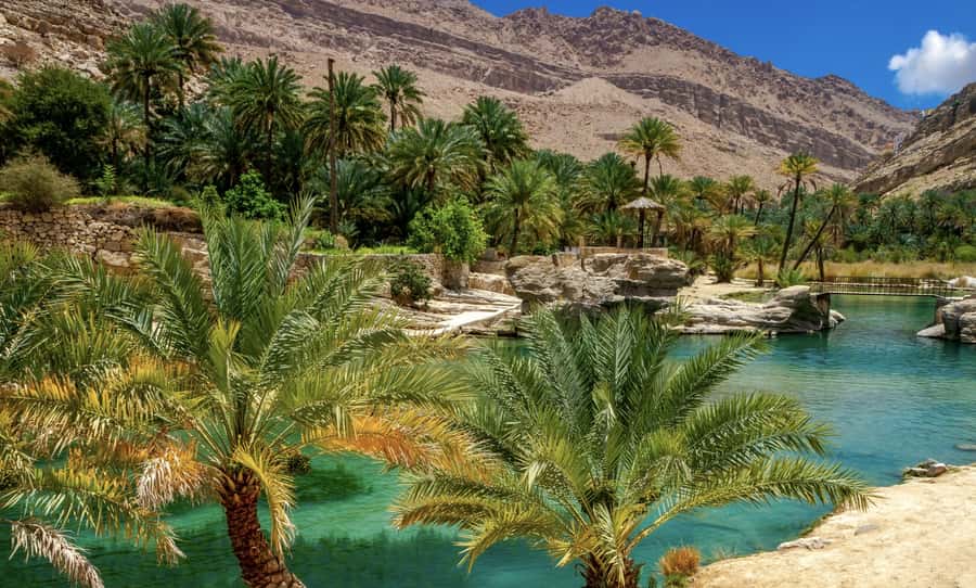 Incredible Oman: 5-Day Guided Tour - Day 2: Muscat’s mosque, opera house, souq, and palace