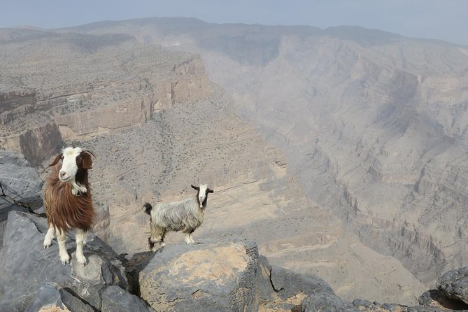 Jabal Shams (Grand Canyon) Tour - Key Points At A Glance