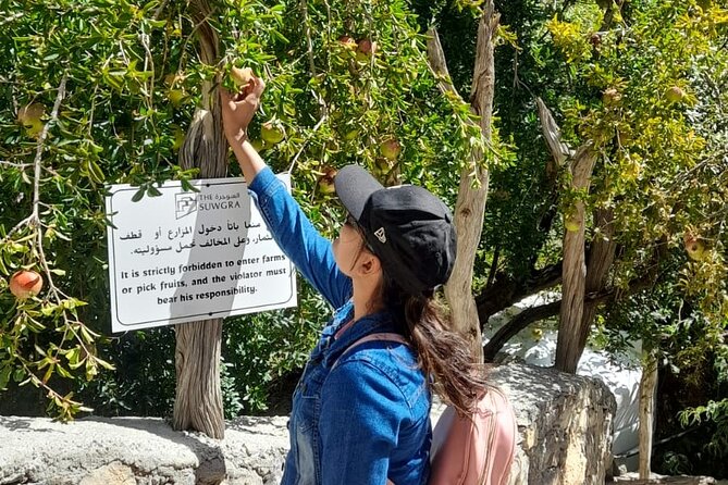 Jebel Akhdar Al Suwjara - Birkat Al Mouz Ruins - Private Full Day Tour - Key things to know before booking
