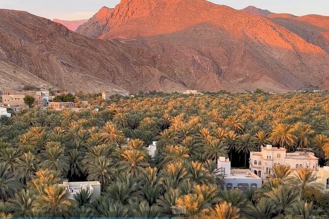 Jebel Akhdar Al Suwjara - Birkat Al Mouz Ruins - Private Full Day Tour - Who should book this Oman mountain tour?