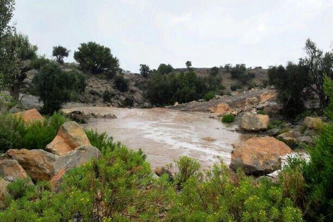 Jebel Akhdar Tour ( per vehicle) - Key points to know before booking