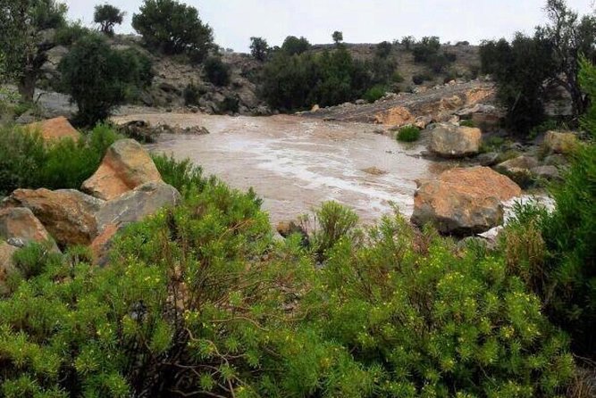 Jebel Akhdar Tour ( per vehicle) - Who gets the best value from this tour
