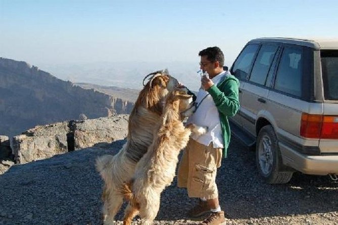 Jebel Shams Day Trip: The Grand Canyon of Oman - The early road to Nizwa