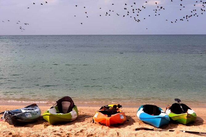 Kayak Guided Tour: Sunset in Qurum, Muscat - Clear water, caves, and optional cliff jumps