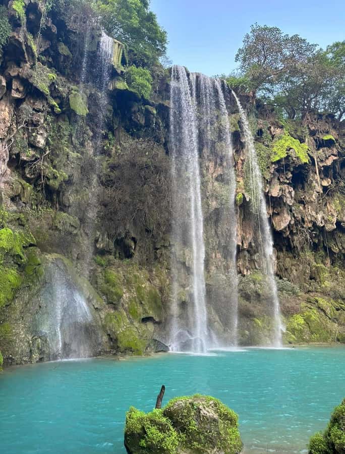 Khareef Salalah - Ain Athum , Wadi Derbat Half Day Tour - Key points at a glance