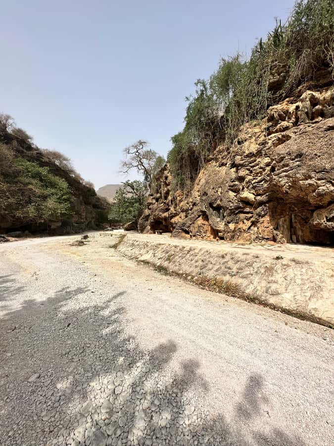 Khareef Salalah - Ain Athum , Wadi Derbat Half Day Tour - The guide can make or break a short tour