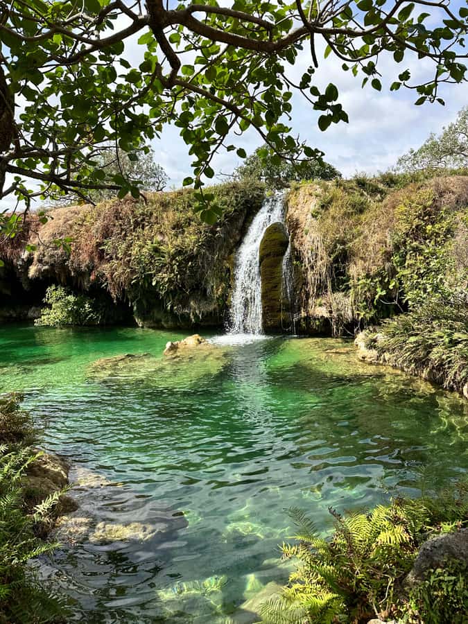 Khareef Salalah - Ain Athum , Wadi Derbat Half Day Tour - Comfort, timing, and what to bring