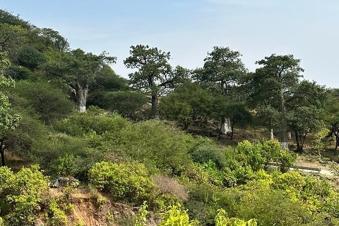 Khareef Salalah- Full Day Mountains and Waterfalls - Jabal Samhan and the Eastern Dhofar Mountains