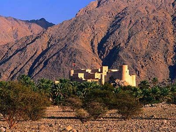 Khasab Full Day Dhow Cruise With Enjoying Snorkeling, Lunch & Dolphin Watching - Key points to know before you book