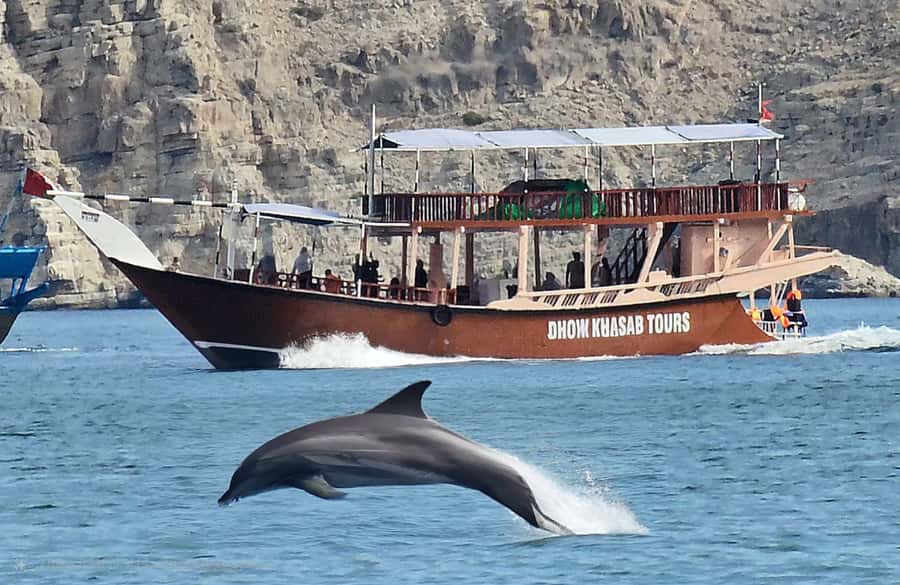Khasab: Half-Day Dhow Cruise, Dolphin Watching, & Snorkeling - Why Khasab’s fjords make a fine dhow cruise