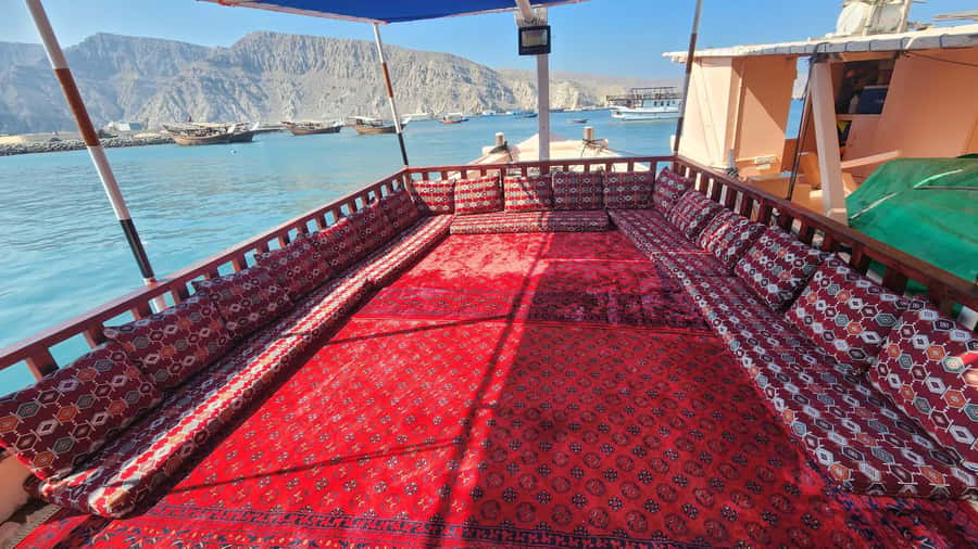 Khasab: Half-Day Dhow Cruise, Dolphin Watching, & Snorkeling - Who will enjoy this Khasab outing most