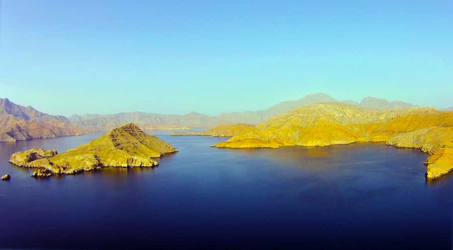 Khasab: Half-Day Dhow Cruise with Dolphin Watching - Practical Tips Before You Go