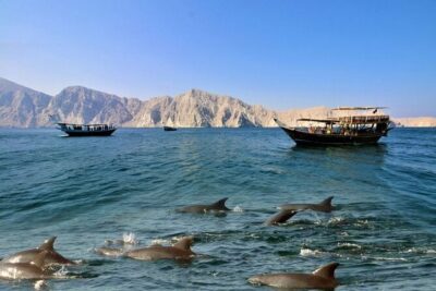 Khasab Musandam Full Day dhow cruise with lunch and Snorkeling