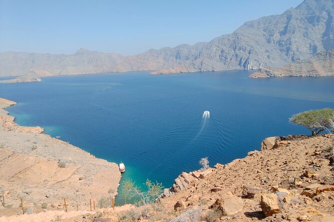 Khasab Musandam Half Day Dhow Cruise - Watching Dolphins Along the Khasab Coast